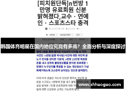 韩国体育明星在国内地位究竟有多高？全面分析与深度探讨