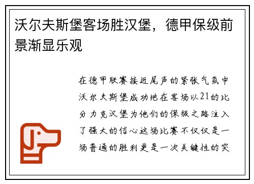 沃尔夫斯堡客场胜汉堡，德甲保级前景渐显乐观